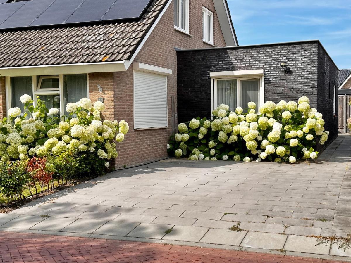 Zoutelande Koddelaan Vakantiewoning Eksteriør billede